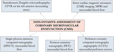 Coronary microvascular dysfunction in autoimmune rheumatic diseases: beyond coronary flow velocity reserve